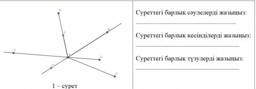 Запишите все отрезки, прямые лучи заранее