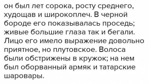 Найдите во второй главе повести Пушкина Капитанская дочь портрет вожатого Выпишите предложения с сос