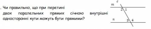 Чи правильно що при перетині двох паралельних прямих сичною внутрішні односторонні кути можуть бути