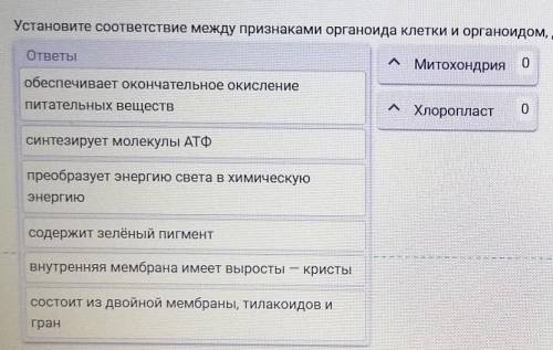 Установите соответствие между признаками органоида клетки и органоидом, для которого эти признаки ха