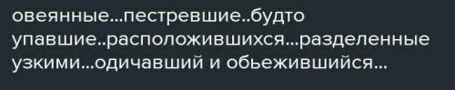 написать какие из этих пртчастий страдательные, а какие действительные​