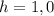 h = 1,0