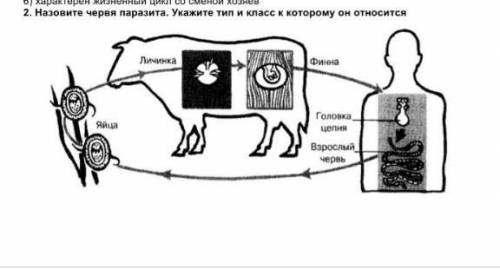 очень надо! Биология 7 класс​