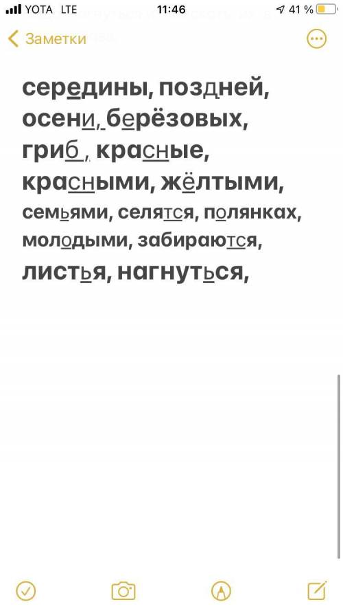 Обозначить орфограммы к выделенным буквам: Слова во вложение