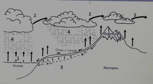 Определите Какой природный процесс изображен на схеме и ответьте на вопросы 1) как называется данный