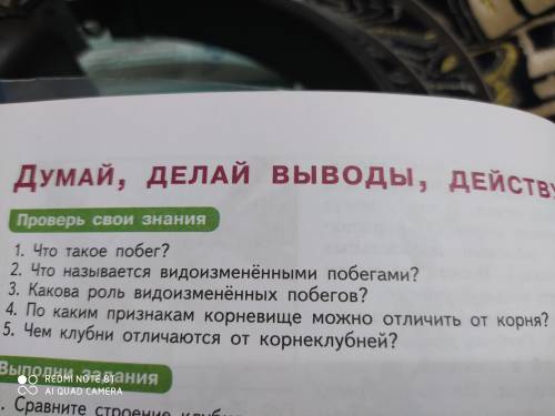 1что такое побег 2что называется видиоизменеными побегами 3 какова роль видиоизмененых побегов 4По к