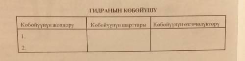 дам (10B) авторы:А. ТоктосуновК. Бейшебаев Б. Мамытова ​