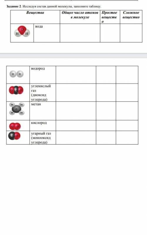 Исследуя состав данной молекулы,заполните таблицу