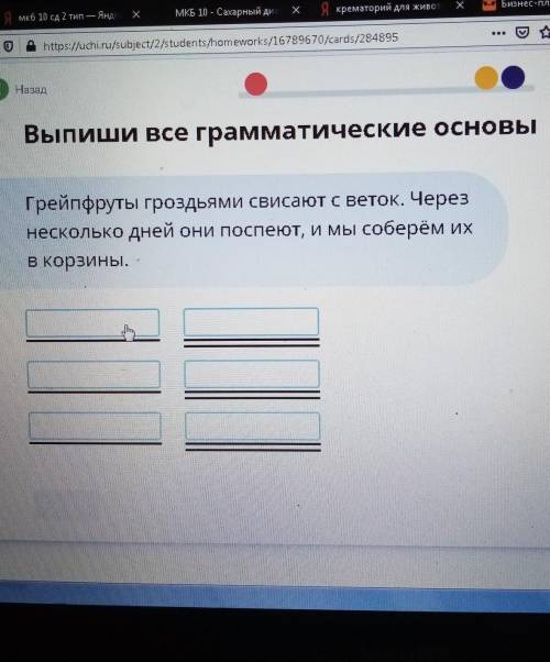 выпиши все грамматические основы грейфруты гроздями свисают с веток. Через несколько дней они поспею