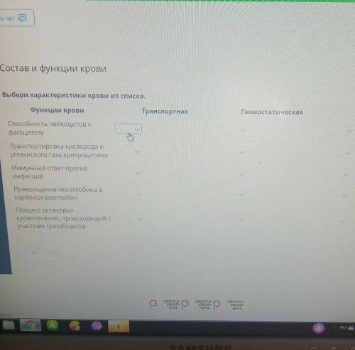 Состав и функции крови Выбери характеристики крови из списка.Функции кровиТранспортнаяГомеостатическ