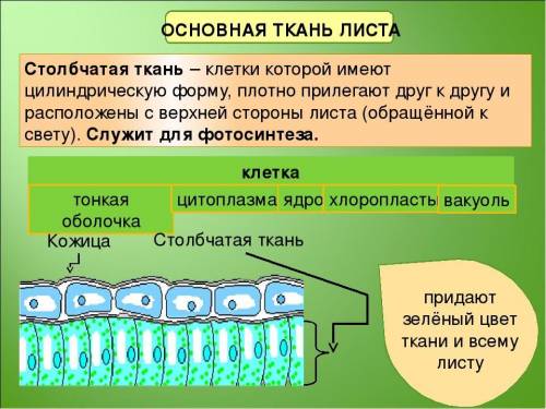 очень нужно я сделал уже две ошибки если сделаю ещё то будет тройка