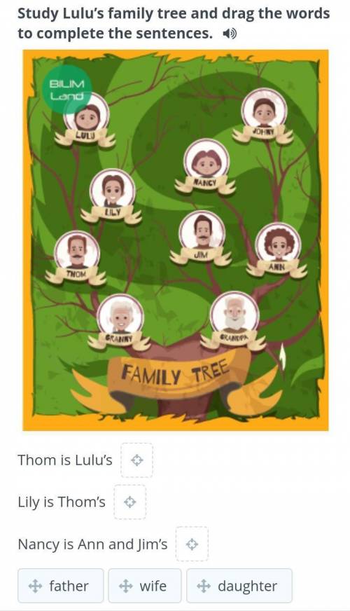 Family members Study Lulu’s family tree and drag the words to complete the sentences.Thom is Lulu’s