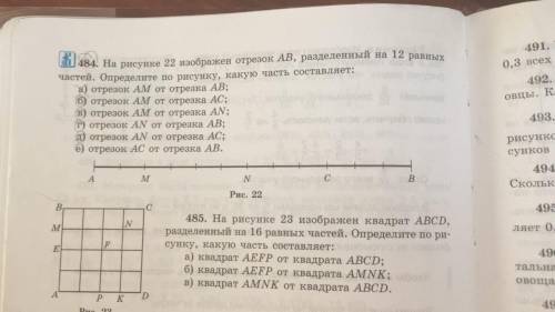 номер 484 математика как нужно делать: АМ составляет 2 деления, а АВ - 12 делений. Значит, АМ = 2/12