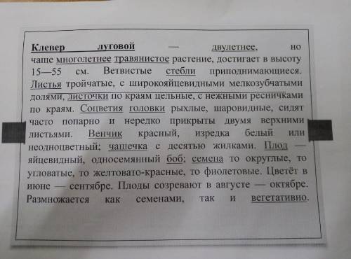 Практическая работа по биологии Тема: сравнительная характеристика особей разных видов одного рода п