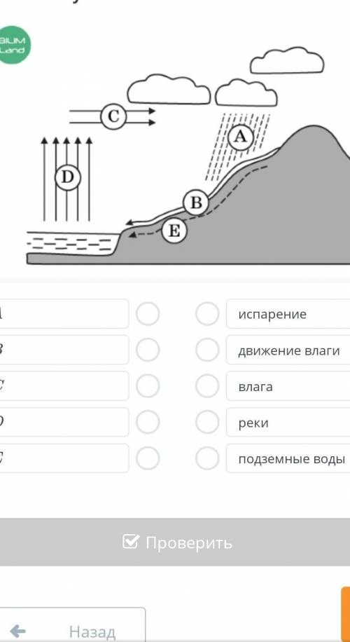 Соотнеси буквы с названиями.​