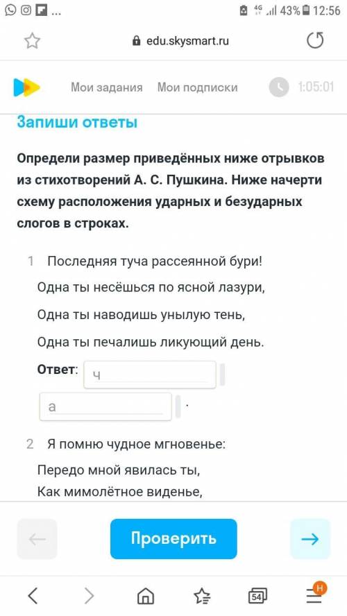 Ребята выполнить тест. Даётся очень мало времени на выполнение Определи размер приведённых ниже отры