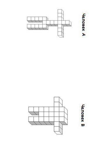 Вопросы: 1. Предполагая, что каждая коробка имеет размеры 1 см х 1 см, каков общий объем человека А?