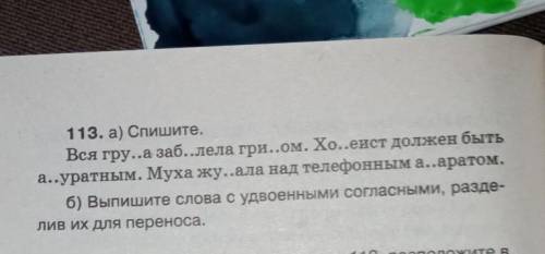 ПО РУССКОМ Выпишите слова с удвоенными согласными, разделив их для переносе