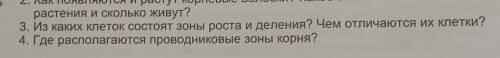 с 3,4 вопросом только коротко не с инета (но если коротко если конечно найдете) ​