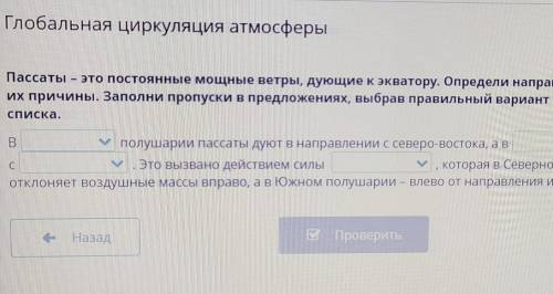 пассаты-это постоянный мощный ветры, ведущий к экватору. определение направление пассатов и их причи