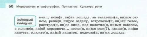 нормально без гавна всякого севолишь одно задание дам 30-ку дз не по истории по русскому нечайно пос