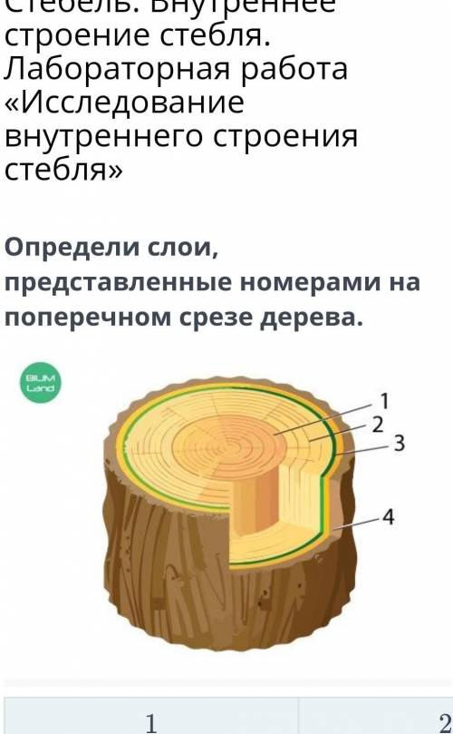 Пипец емае если ты снова ответишь я ахерею​