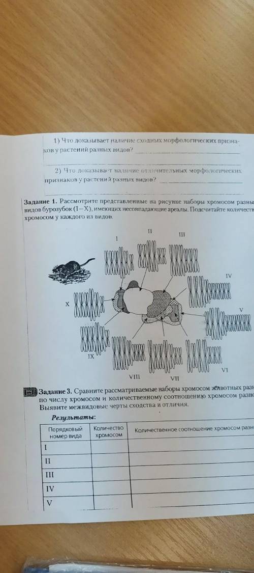 1. рассмотрите предоставленные на рисунке наборы хромосом 3. Сравните рассматриваемые наборы хромосо