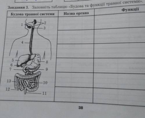 Заповніть таблицю будова та функції травної системи​