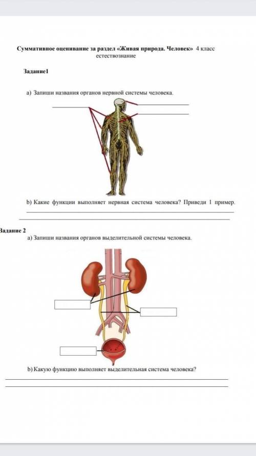 соч по естествознания​