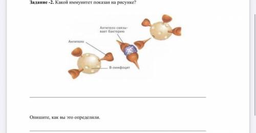 Какой иммунитет изображен на рисунке.Как это определили?