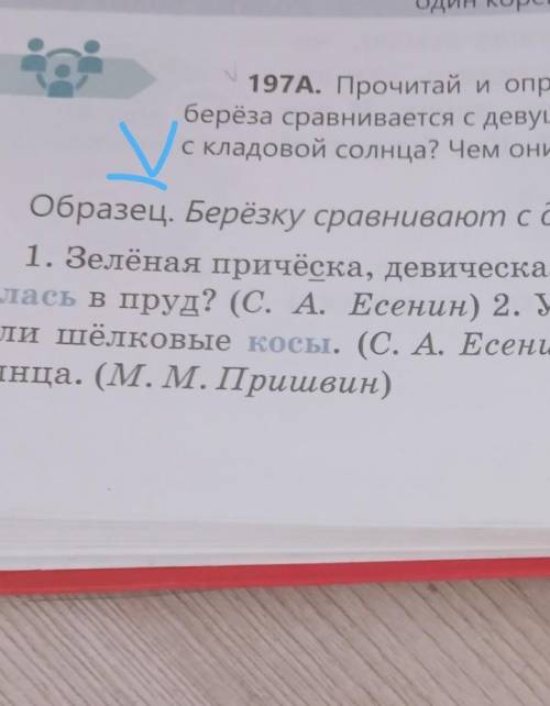 С косами, природа - 197А. Прочитай и определи значения выделенных слов.1. Зелёная причёска, девическ