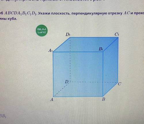 Дан куб АВСDA1B1C1D1. Укажи плоскость, перпендикулярную отрезку АС и проходящую через вершины куба.​