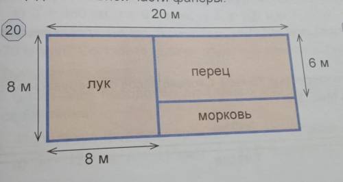 Найдите площадь каждого участка в соответствии с планом сада на рисунке 20​