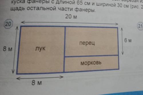 Найдите площадь каждого участка в соответствии с планом сада на рисунке 20 и условия