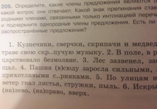 205. Определите, какие члены предложения являются однородными родными членами, связанными только инт