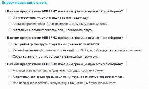 Русский язык В каком приложение неверное показаны границы причастного оборота?