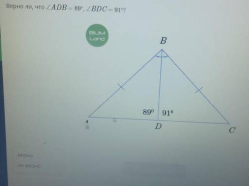 Верно ли, что ZADB = 89°, Z BDC = 9192 BILIMLandB.890 910АDСверноне верно​