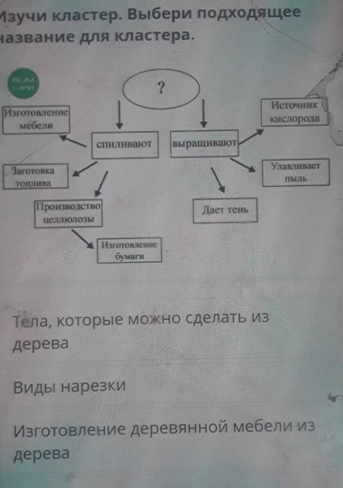 Изучив кластер Выбери подходящие названия кластера