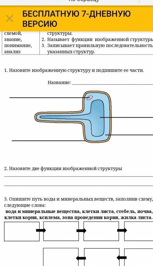 1. Назовите изображенную структуру и подпишите ее части. Название: ​