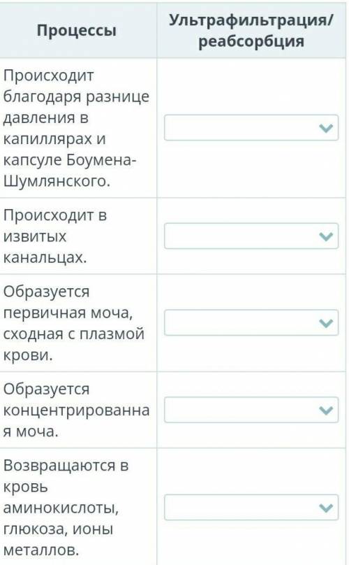 нужно выбрать что ультрафибрация, а что реасорбация​