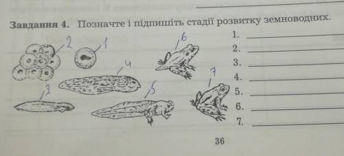 ть біологія.Позначте і підпишіть стадії розвитку зесноводних​