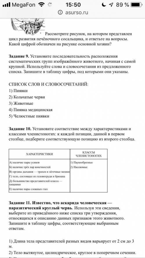 Контрольная работа по зоологии. Тема «Беспозвоночные животные». Вариант 2