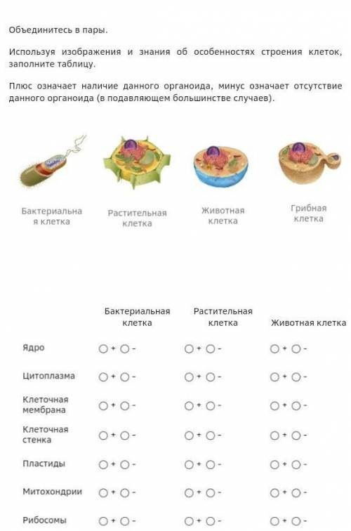 ЭТО ШЦП ПО БИОЛОГИИ 7 КЛАСС