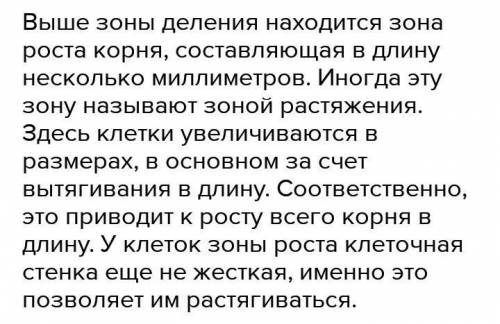 Из каких зон состоит внутреннее строение растущего коня? Как появляются и растут корневые волоски? К