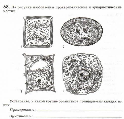 Биология 9 класс. Подпишите Дам лучший быстрейшему.