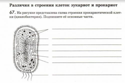 Биология 9 класс. Подпишите Дам лучший быстрейшему.