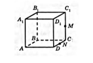 На рисунку зображено куб abcda1b1c1d1. точки m і n середини ребер cc1 і cd відповідно. укажіть пряму