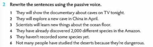 Rewrite the sentences using the passive voice.​