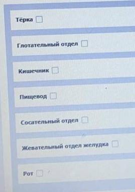 Вставьте пропущенные слова :Желудок... - Анальное отверстие. ​