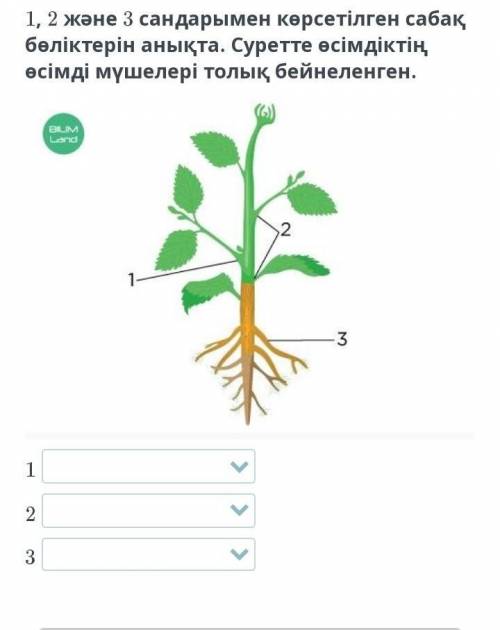 Жауабы барма өтініш керек болып тұр ​